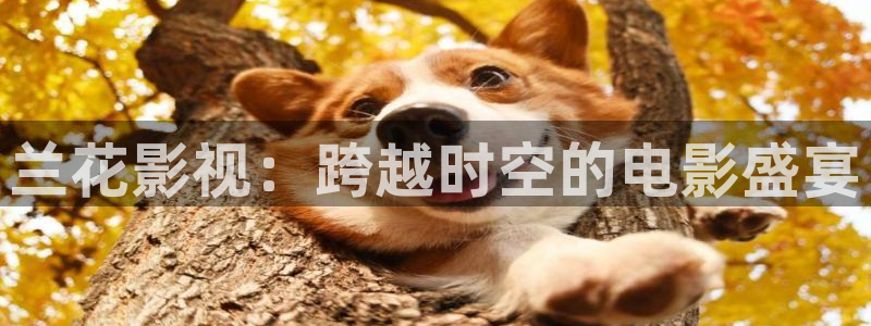 好看影院在線觀看電影